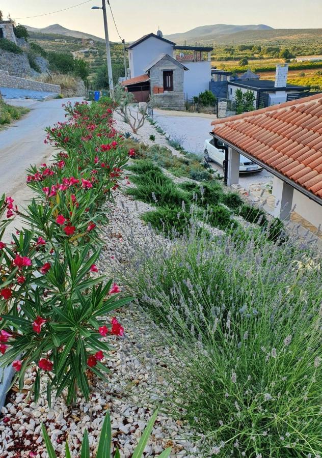 Brand New Villa Cara D Oro, Vrana Vrana  외부 사진